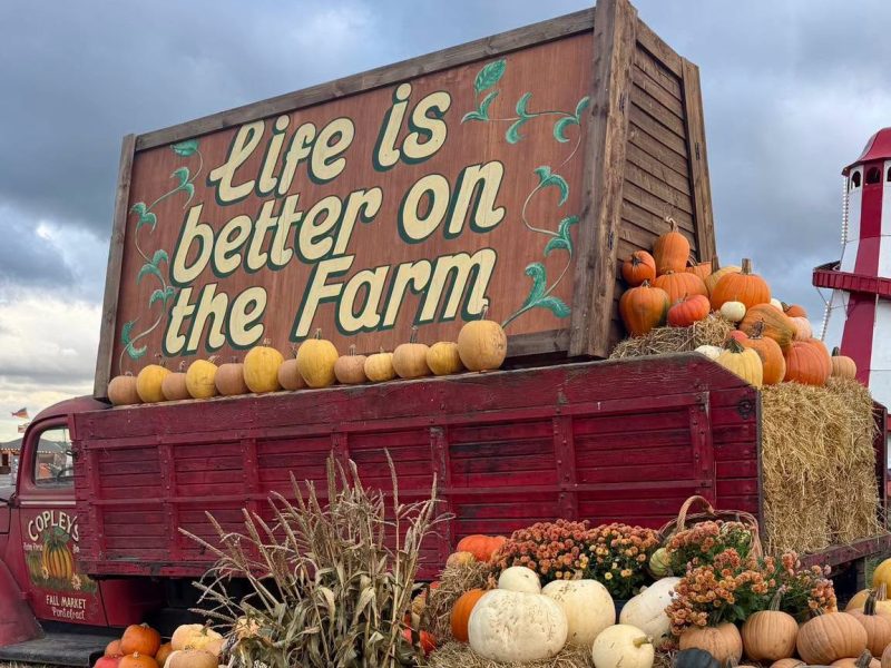 UK’s First, Biggest, and Best Pumpkin Festival is in Pontefract